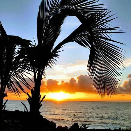 Pahoa Paradise Palms المظهر الخارجي الصورة